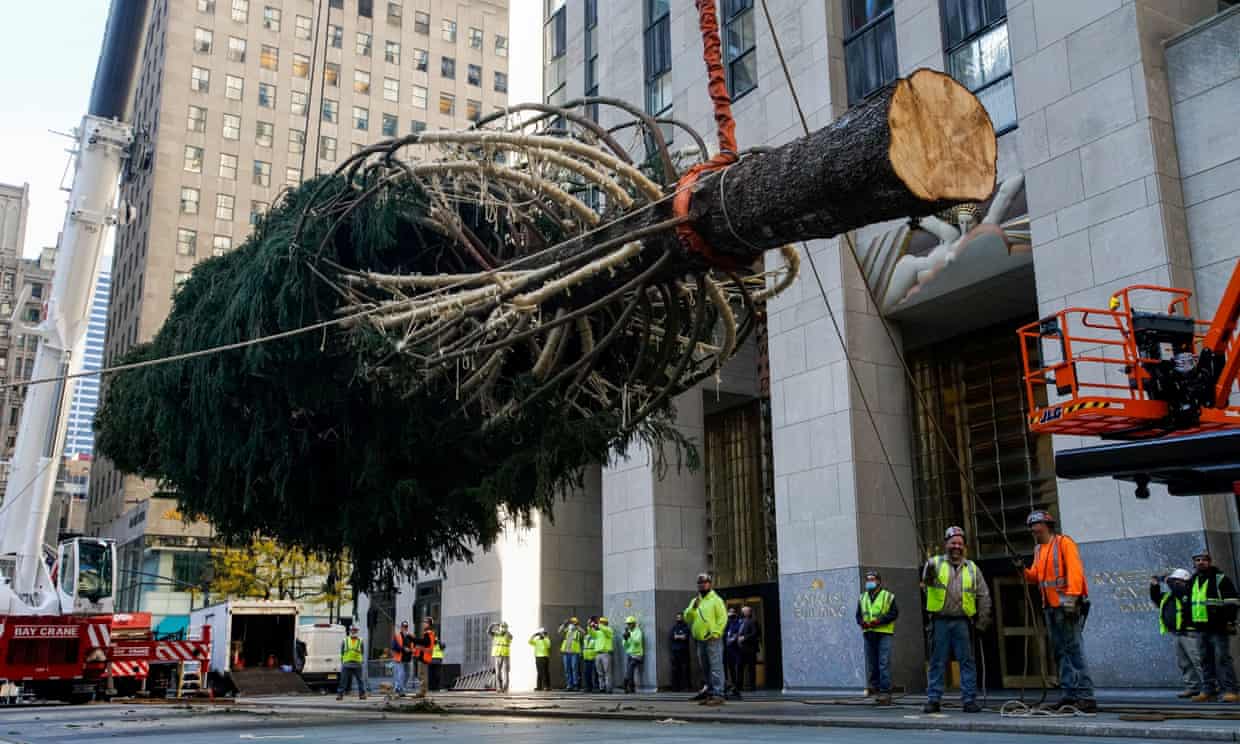 Christmas Tree Shortage Upsets America Austin Tree Service Inc.